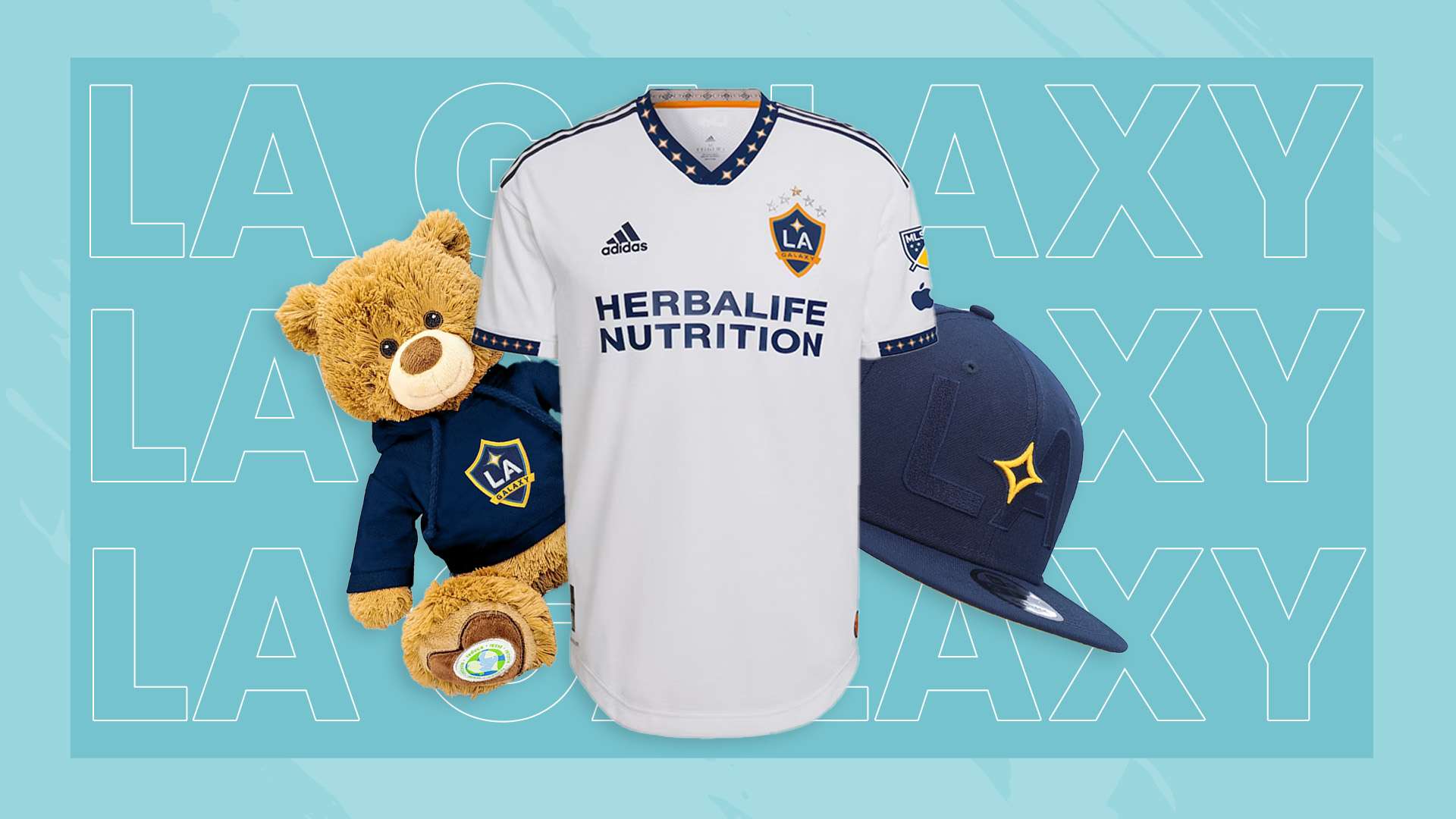 他的经验与 他的经验与